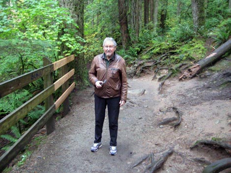 Mladen Adolf Plečko