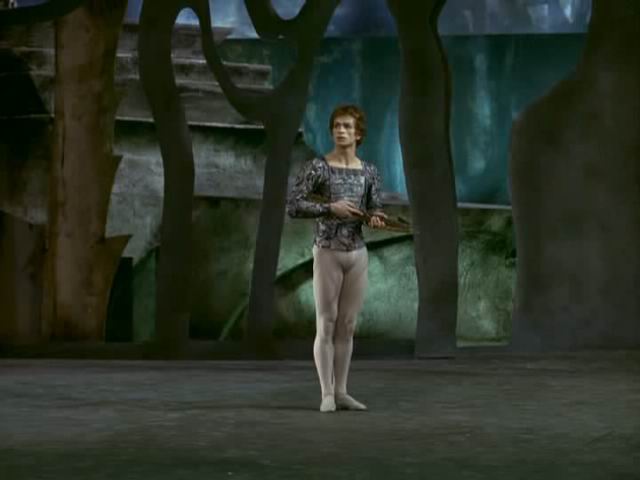Labuđe jezero Petra Iljiča Čajkovskog u koreografiji Rudolfa Nurejeva i izvedbi Baleta Bečke državne opere iz 1966., s Rudolfom Nurejevom i Margot Fonteyn u glavnim ulogama